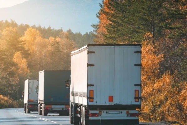 Ankara İzmir Nakliyat